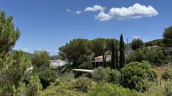 Urlaub Elba21